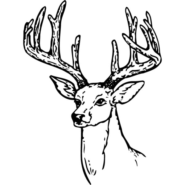 DEER009 Thumbnail
